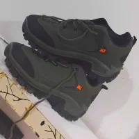 کفش|کیف، کفش، کمربند|شادگان, |دیوار