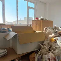 کارتن اسبلبکشی