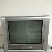 تلویزیون