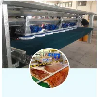 قالیشویی اهورا