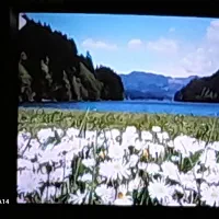 تلویزیون ۲عدد|تلویزیون و پروژکتور|بابل, |دیوار