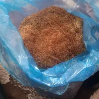 دو کیلو ریشه زعفران پر قرمزی