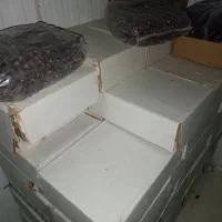 خرما رَبی عمده