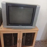 تلوزیون