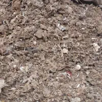 بار کفتر
