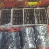 نیازمند نیروی خرما جمع کن