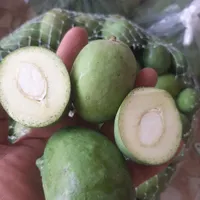 انبه بدون هسته،سپستان،میناب ورودان،ترشی انبه دریزد|خوردنی و آشامیدنی|یزد, |دیوار