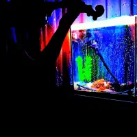 آکواریوم کامل با همه لوازم50*50*30(عمق)