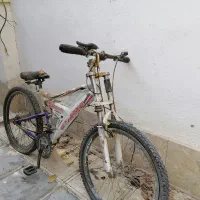 دوچرخه|دوچرخه، اسکیت، اسکوتر|مشکیندشت, |دیوار