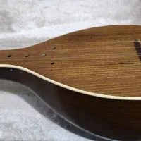 سه تارحرفه ای کاسه کوچک