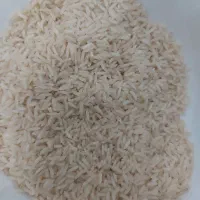 برنج هاشمی اصیل شمالی