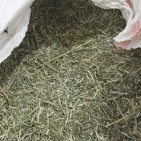 خوراک دام عمده و جزئی