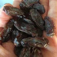 خریدوفروش عمده مویزو کشمش|عمده‌فروشی|شیراز, ارم|دیوار