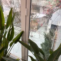 استخدام خانم برای کار در کافه سالن زیبایی