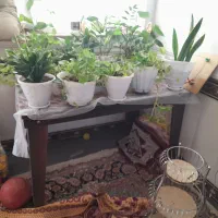 صندلی آشپزخانه|میز و صندلی غذاخوری|فاضل آباد, |دیوار