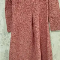 پالتوزنانه