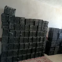 سبد میوه جات