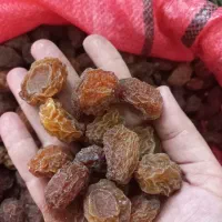 الو بخارا درجه یک
