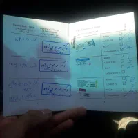 سگ ژرمن|سگ|تهران, تهرانسر شرقی|دیوار