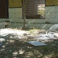 بنا کاشی کاری و سفت کاری