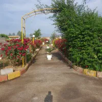 اجازه-باغ-سالن-اکازیون