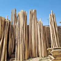 فروش انواع تخته بنایی قالببندی مبل هاچه|مصالح و تجهیزات ساختمان|میاندوآب, |دیوار