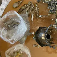 لوستر برنز نو|لوستر و چراغ آویز|کرمانشاه, |دیوار