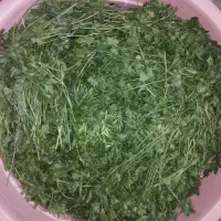 سبزی خورشی تازمحلی