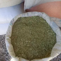 فوری فوری خار شتری خوب و تازه|حیوانات مزرعه|تربت جام, جامرود|دیوار