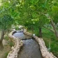 آردگندم‌تازه‌وپی‌دار