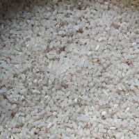 برنج لوبیا چشم بلبلی. چیتی