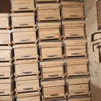 جعبه کندو،طبق،قاب|عمده‌فروشی|خرم‌آباد, |دیوار