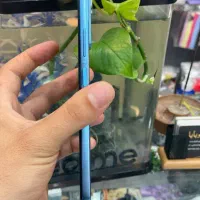 Note12pro|موبایل|شیراز, زند|دیوار