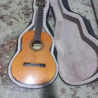 گیتارپالادوcg80