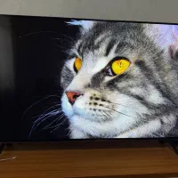 ال ای دی 50 اینچ STAR TRAC آندروید 14 آکبند