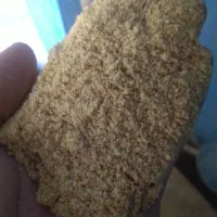 دان بوقلمون ، مرغ ، بلدرچین|لوازم جانبی حیوانات|کبودرآهنگ, |دیوار