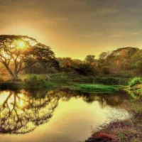 مسافر یزد یاسوج
