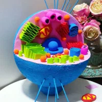 سفارش انواع کاردستی مدرسه