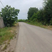 هزار ونهصدمترزمین  سندتک برگ‌ خمیران