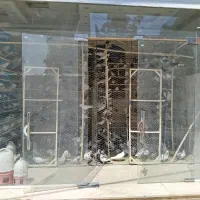 بار جدید کفتر .کبوتر تک تعداد انواع دان گندم ۵۴