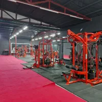 باشگاه بدنسازی|تجهیزات ورزشی|تایباد, |دیوار