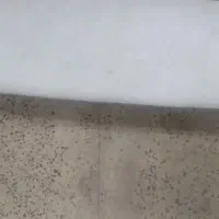 موکت ظریف|موکت|همدان, |دیوار