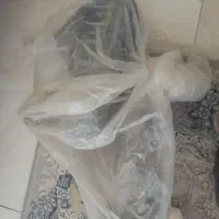 وسایل آکواریوم|ماهی|فولادشهر, A2|دیوار