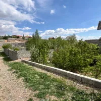 زمین-کشک-زر-نزدیک-بافت