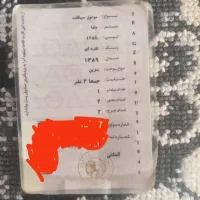 موتور سیکلت بیکلاج|موتورسیکلت|ابریشم, |دیوار