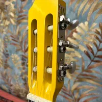 گیتار نو فروش فوری|گیتار، بیس، امپلیفایر|مشهد, کوثر|دیوار