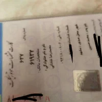 گمشده