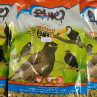 دان عروس هلندی،طوطی برزیلی،مرغ مینا،قناری،مرغ عشق|لوازم جانبی حیوانات|ارومیه, |دیوار