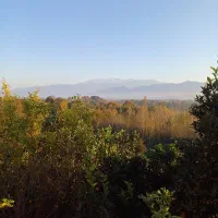 کومله لنگرود فروش زمین ۲۰۰۰متری|فروش زمین و ملک کلنگی|کومله, |دیوار