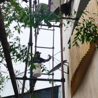 بندکشی سنگ نمابدون داربست رفع نم رطوبت دیوار سیمان|خدمات پیشه و مهارت|لاهیجان, قیام|دیوار